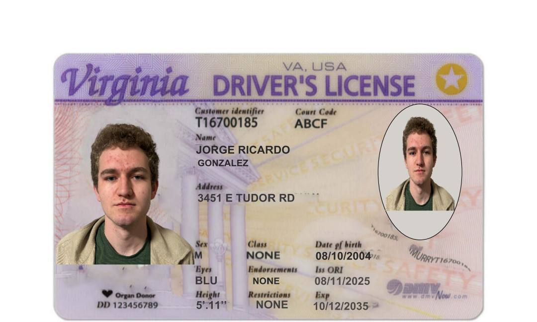 Virginia Driver's License